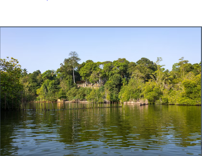 River Madu Nature Safari - Image 2
